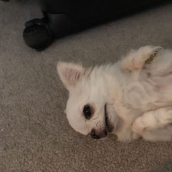 Meet your Posher, Nightmare town - Picture 1 of 1